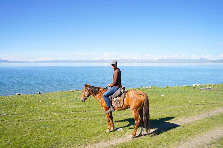 3 Day Horse Tracking to Song Kul Small Group Tour