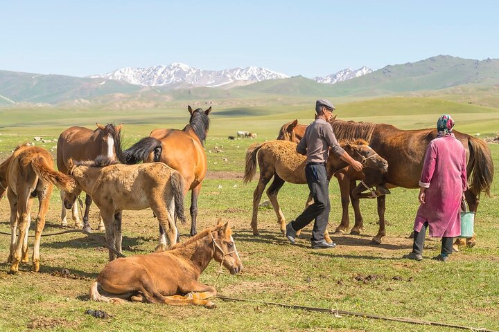 2-Day Small-Group Nomadic Adventure to Song Kul Lake