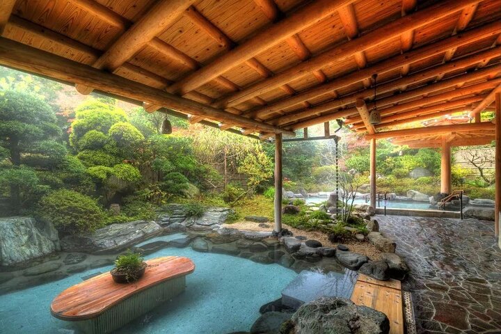Airport transfer between Narita and Mount Fuji or Hakone Onsen