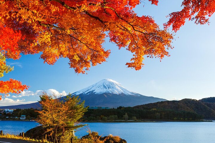 Airport transfer between Narita and Mount Fuji or Hakone Onsen