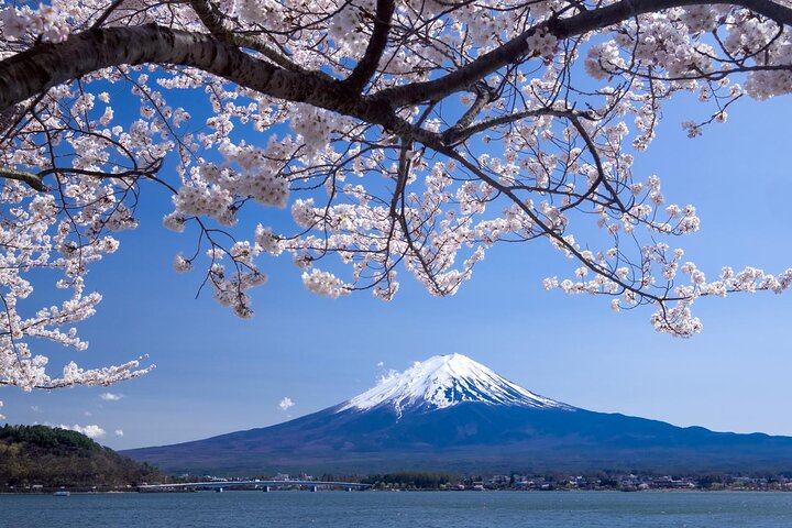 Airport transfer between Narita and Mount Fuji or Hakone Onsen