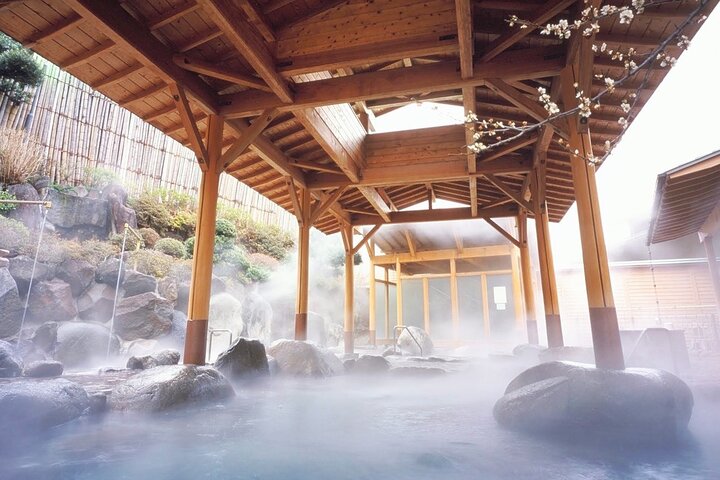 Airport transfer between Narita and Mount Fuji or Hakone Onsen