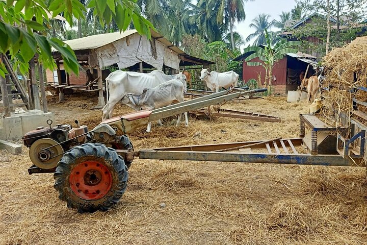 AfternoonTour.Bamboo train.killing cave with Secret bat cave