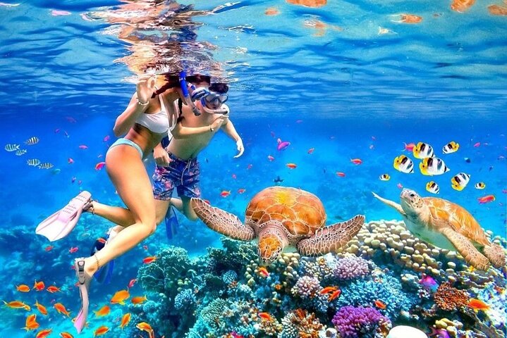 Bali Blue Lagoon Snorkeling with Lunch & Private Hotel Transfer