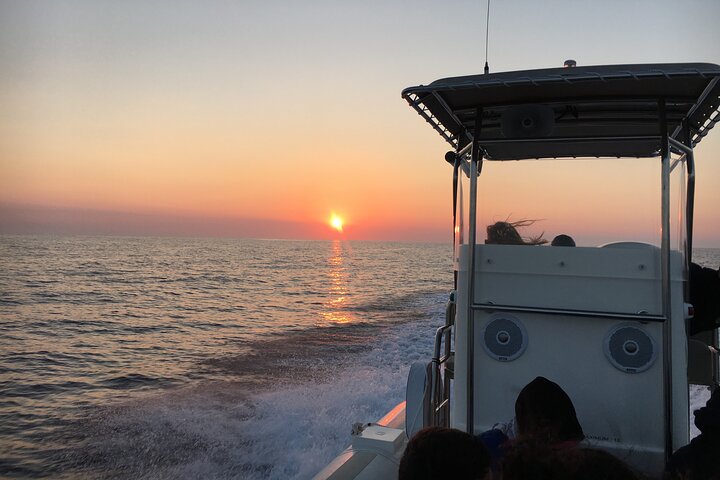 Getaway to the Calanques of Piana de Cargèse in a small group