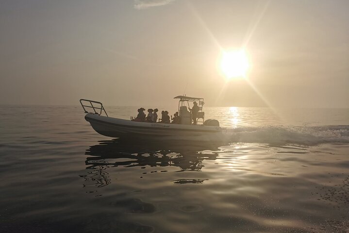 Getaway to the Calanques of Piana de Cargèse in a small group
