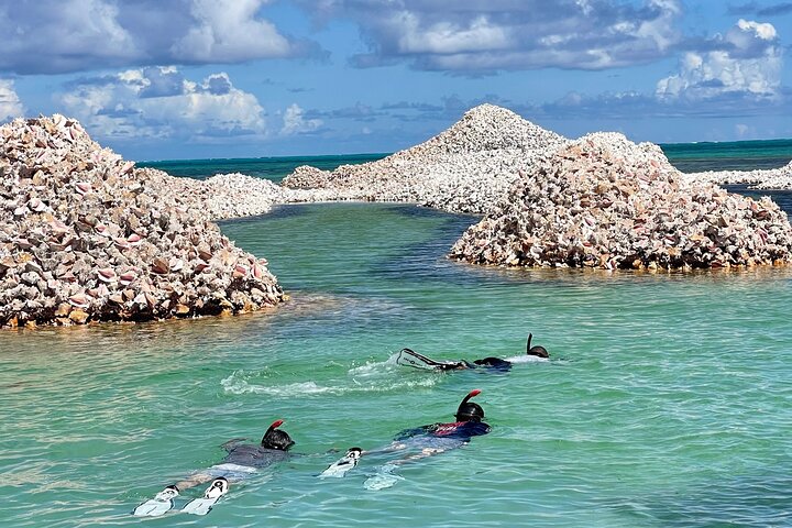 "Seas the Day!" Hop to iconic BVI islands and amazing snorkeling.