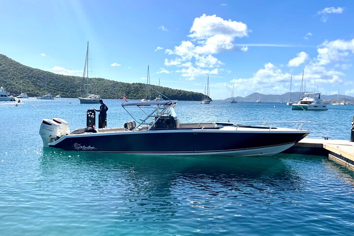 "Seas the Day!" Hop to iconic BVI islands and amazing snorkeling.