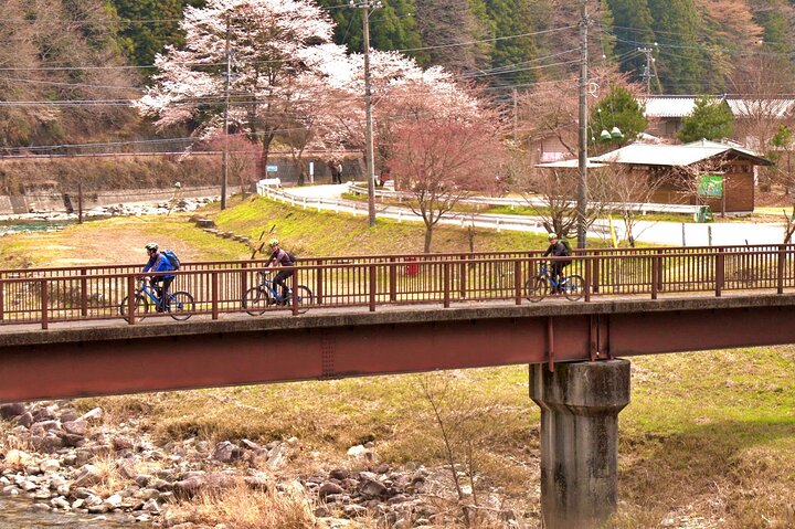 Half Day Private Rural E-Bike Tour in Hida