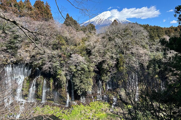 Mt.Fuji area Tour from Shimizu Port / Van Taxi