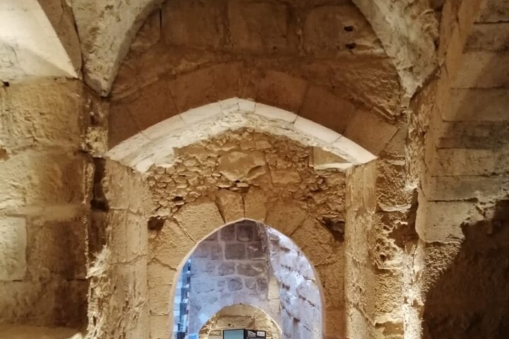 From Amman: Private Full Day Group Tour Jerash Ajloun and Amman