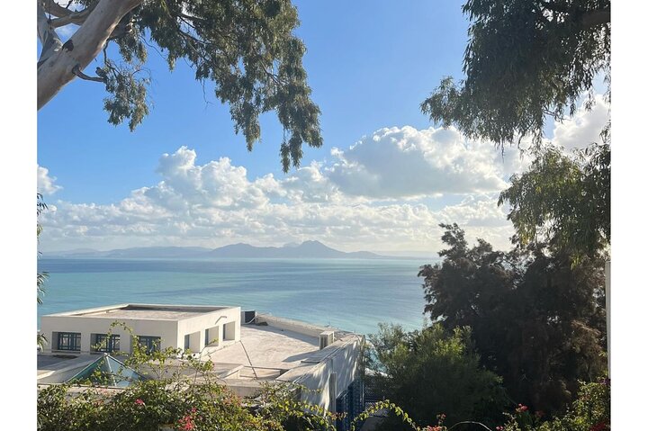 Fun VIP: Tunis Medina/Bardo + Sidi Bou Said + Carthage Pickup All