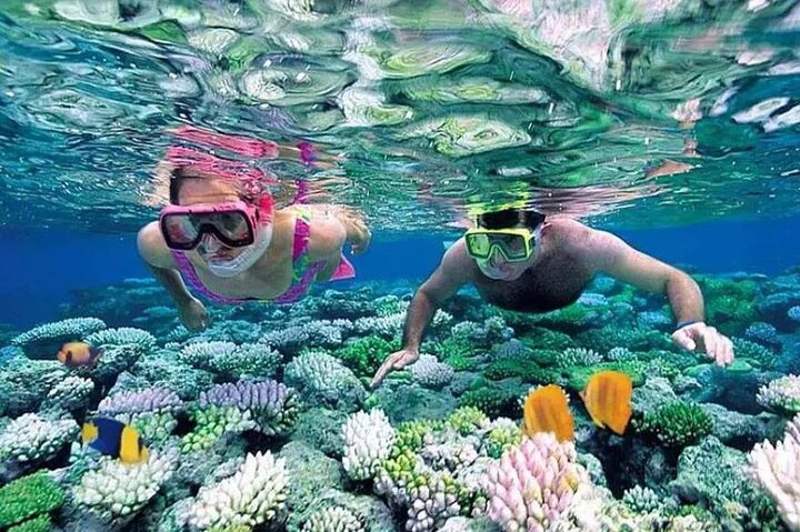 Trekking and Snorkeling in Nhơn Lý