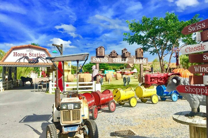 Laem Chabang Port To Pattaya Cultural Exploration Tour