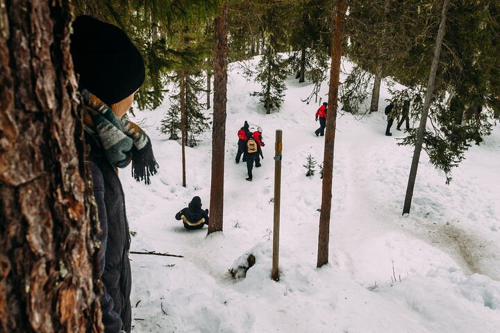 Korouoma Canyon: Frozen Waterfalls Hike & BBQ Experience