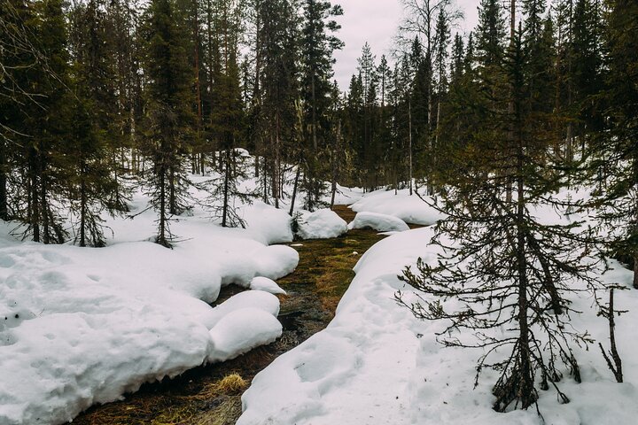 Korouoma Canyon: Frozen Waterfalls Hike & BBQ Experience