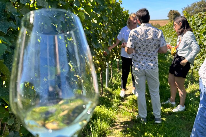 Rhine Valley Wine Tasting Tour from Frankfurt and Mainz
