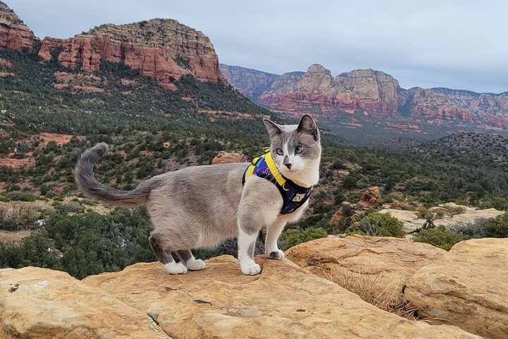 Sedona Vortex Odyssey - A Spiritual & Scientific Adventure