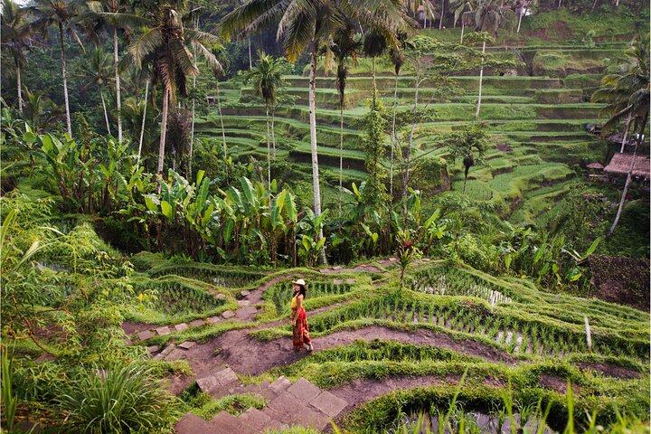 Ubud Top Attractions: Waterfalls, Temples and Rice Terraces