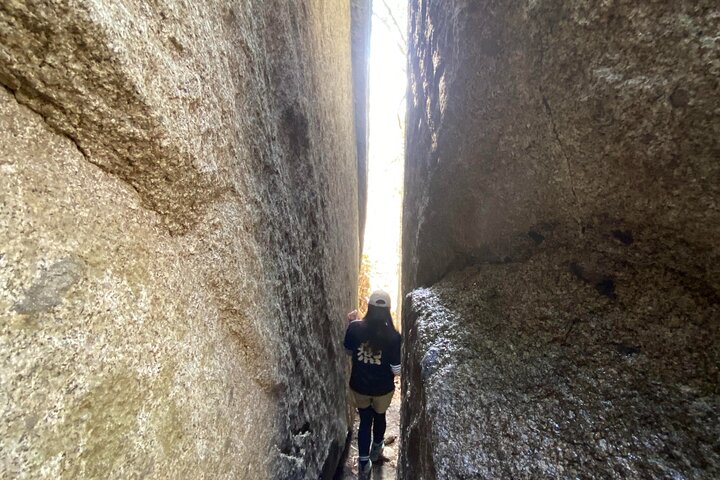 Private Hiking Tour to View Mt. Fuji