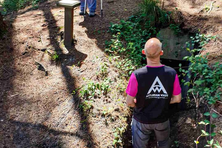 Hiking Experience in Asturias, from Gijón or Oviedo