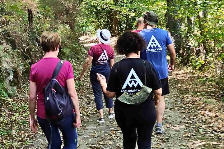 Hiking Experience in Asturias, from Gijón or Oviedo