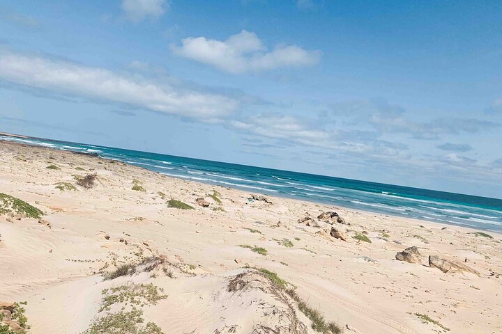 Boa Vista Island: Full Day North to South Discovery