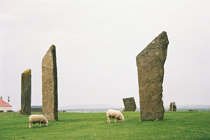 Shore Excursion Kirkwall Small Group Highlights of Orkney