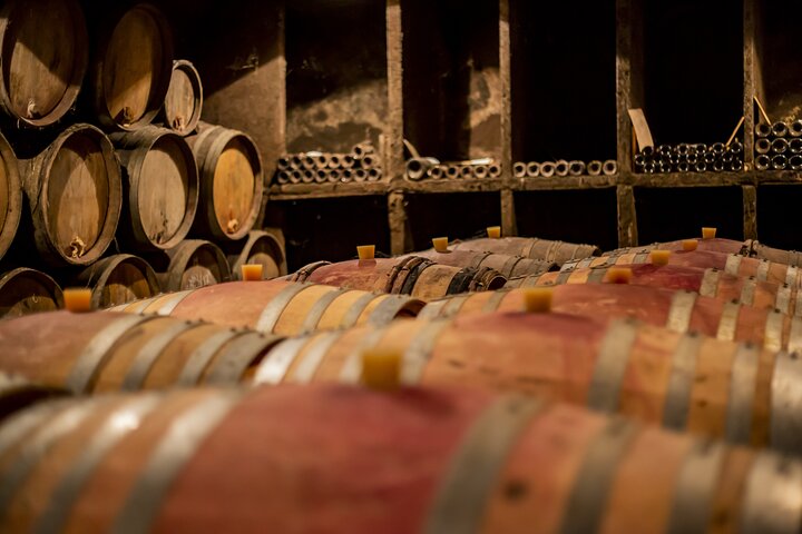 Full-Day Private Wine Tour in Côte de Nuits