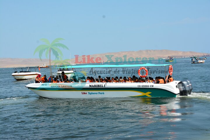 Paracas : Tour to the Ballestas Islands by Modern Boat