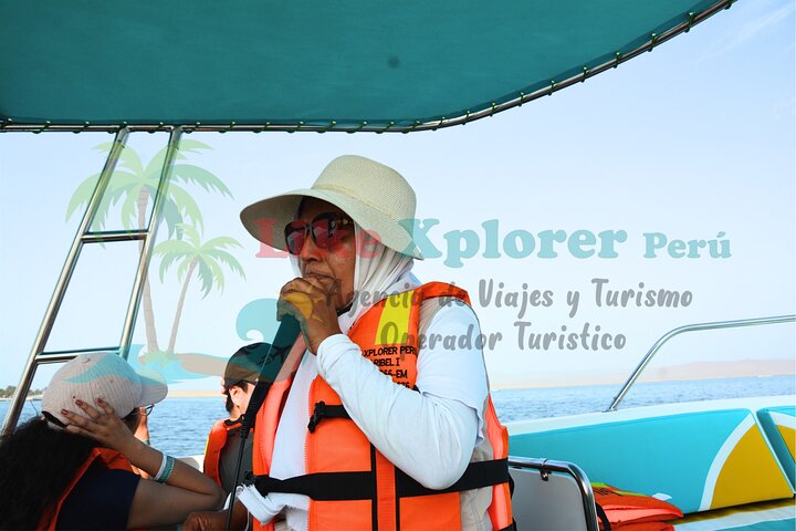 From cruise ships Pisco : Tour islands Ballestas and Paracas Reserve