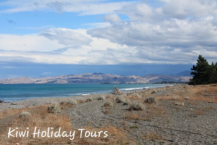 Picton & Blenheim Scenic Tour