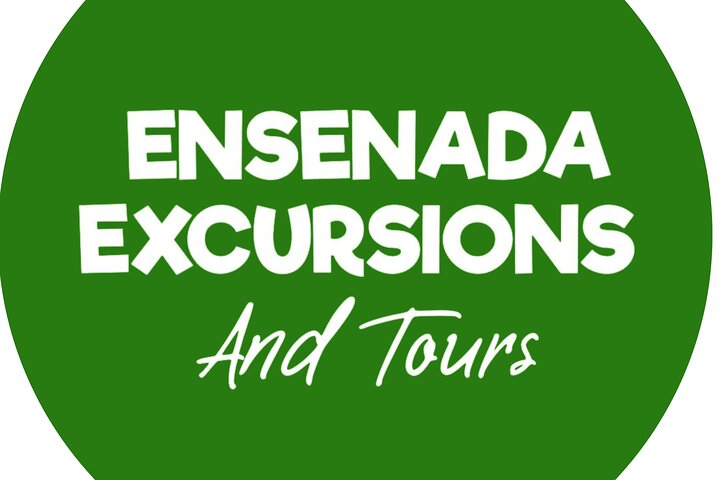 Shore Excursion Ensenada: ATV + Taco & Bufadora options