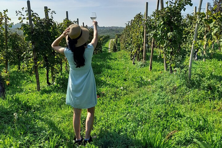 2 Guests Private Prosecco Road Tour All Inclusive from Conegliano