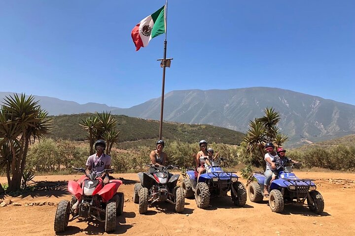 Shore Excursion Ensenada: ATV + Taco & Bufadora options