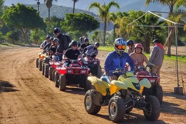 Shore Excursion Ensenada: ATV + Taco & Bufadora options