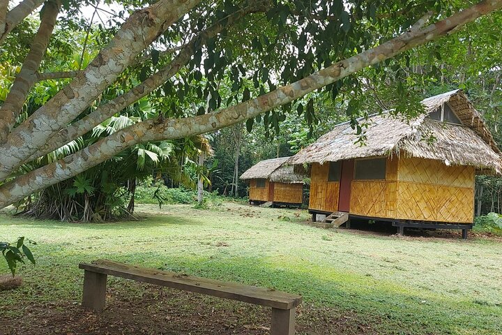 Yasuni National Park 3 days 2 nights in the Amazon of Ecuador,comfortable rooms