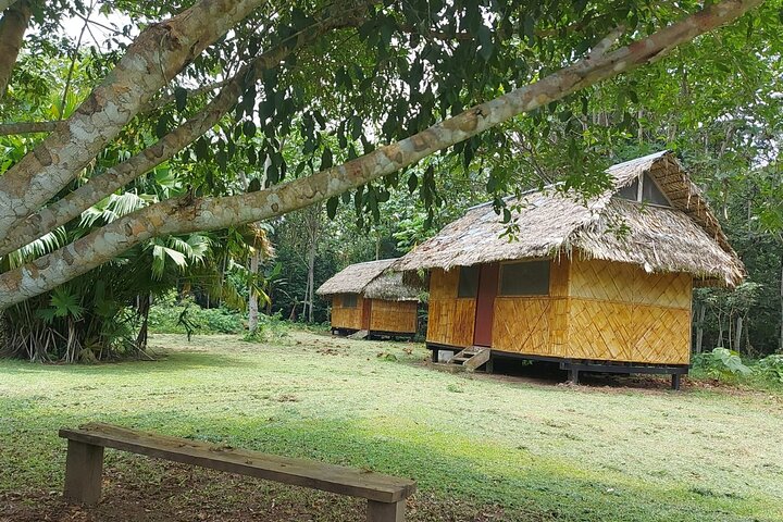 Yasuni National Park 3 days 2 nights in the Amazon of Ecuador,comfortable rooms