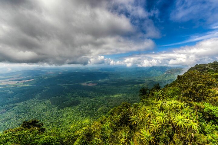 From Hazyview- Full Day Panoramic Tour