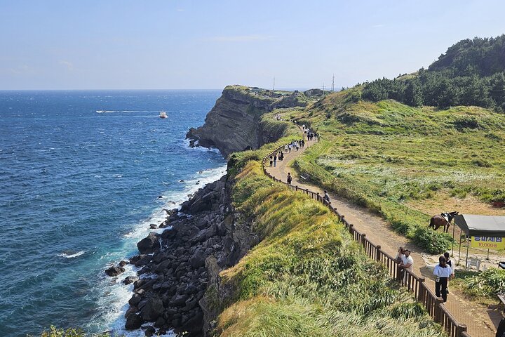 Jeju South-West Essentials: Hallasan & Signature Highlights