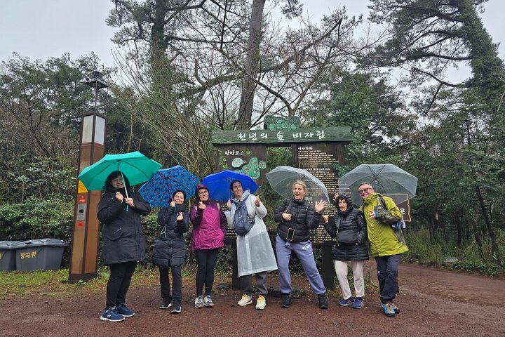 Jeju Private Half-Day Tour for Cruise Customers