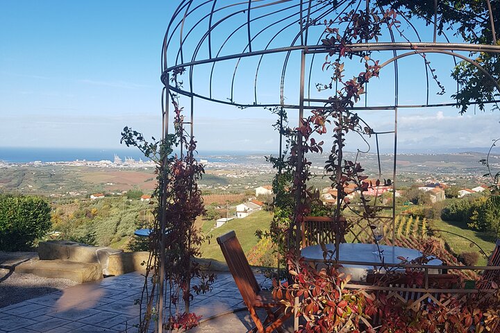 Experience Slovenian Coast line with Wine Tasting from Trieste