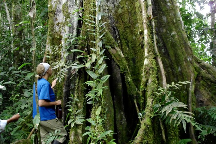 360° Jungle Day Tour Expedition Amazonia Ecuador rainforest