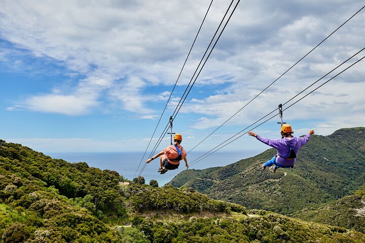 Half Day Zipline Adventure in Kaikoura