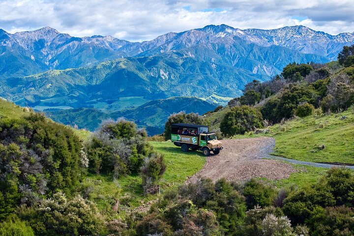 Half Day Zipline Adventure in Kaikoura
