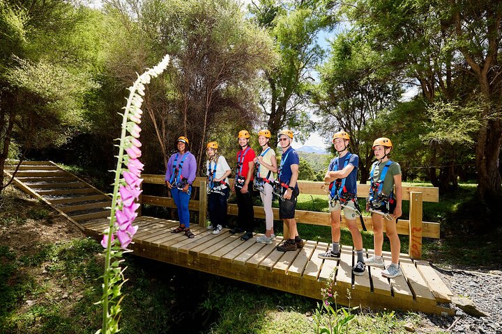 Half Day Zipline Adventure in Kaikoura