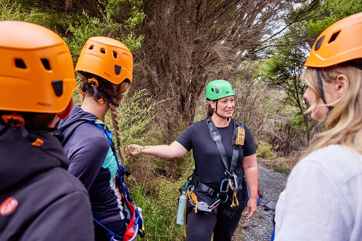 Half Day Zipline Adventure in Kaikoura