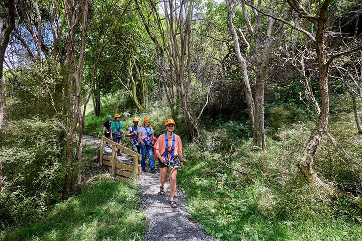 Half Day Zipline Adventure in Kaikoura