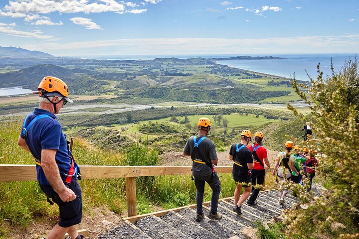 Half Day Zipline Adventure in Kaikoura