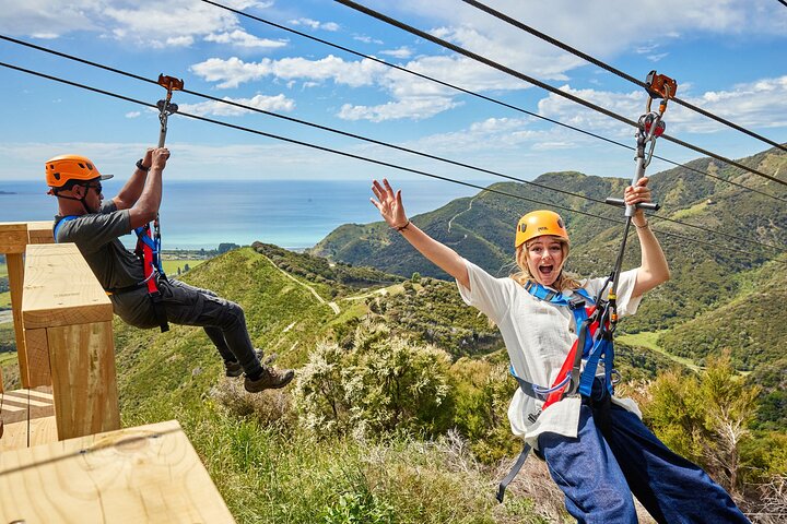Half Day Zipline Adventure in Kaikoura